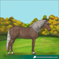 Horse Color:Silver Black 