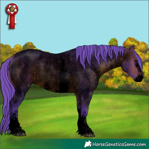 Horse Color:Void Watercolor Brown Roan Sabino 