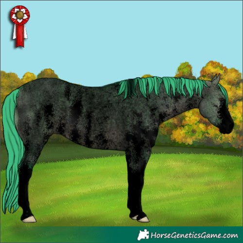 Horse Color:Void Watercolor Brown Roan Dun Sabino 