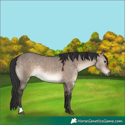 Horse Color:Brown Dun Mushroom 