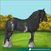 Horse Color:White Spotted Black 