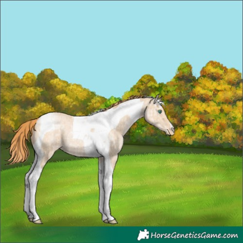 Horse Color:Smoky Black Ice Pearl Tobiano Varnish