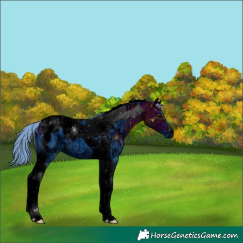 Horse Color:ERROR: UNKNOWN ANOMALY