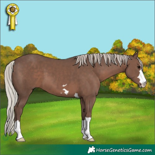 Horse Color:Silver Black 