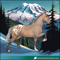 Horse Color:Silver Brown Dun Blanket