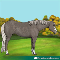 Horse Color:Silver Black
