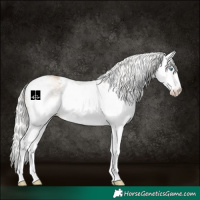 Horse Color:White Spotted Silver Perlino 