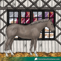 Horse Color:Silver Black 
