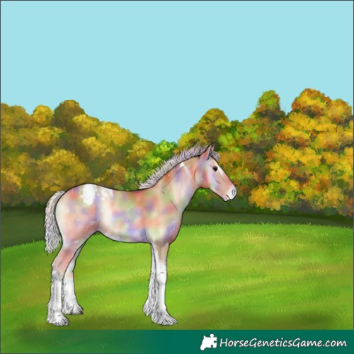 Horse Color:Nacre Silver Blue Onyx Pearl Tobiano Appaloosa 