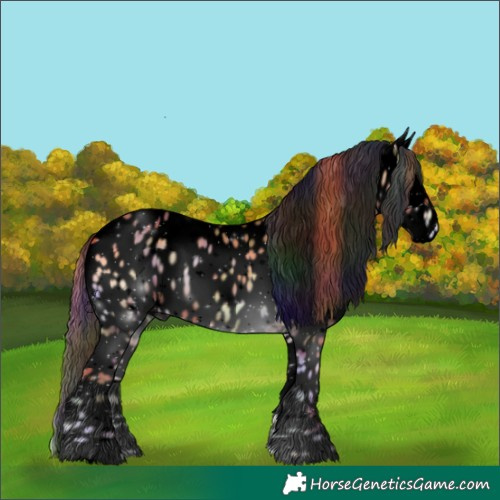 Horse Color:Void Nacre Red Onyx Leopard 