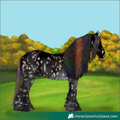 Horse Color:Void Nacre Red Onyx Appaloosa 