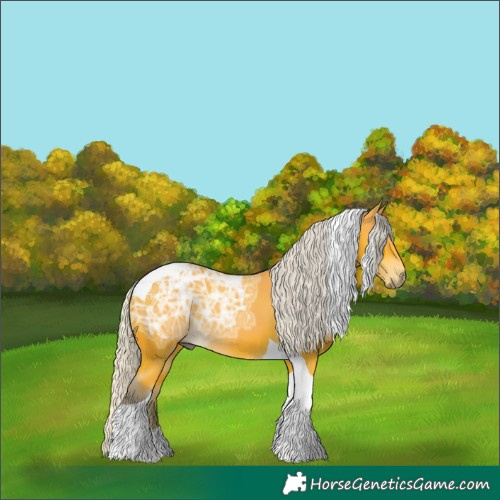 Horse Color:Silver Buckskin Ice Tobiano 
