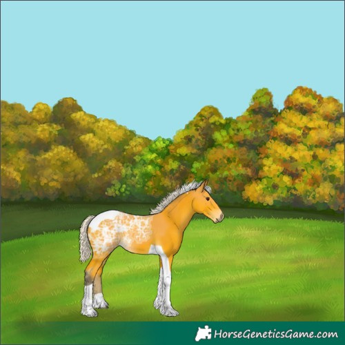 Horse Color:Silver Buckskin Ice Tobiano 