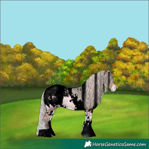 Horse Color:Void White Spotted Silver Blue Onyx Ice Appaloosa 