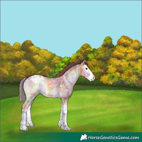 Horse Color:Nacre Gold Champagne Ice Onyx Splash Appaloosa 