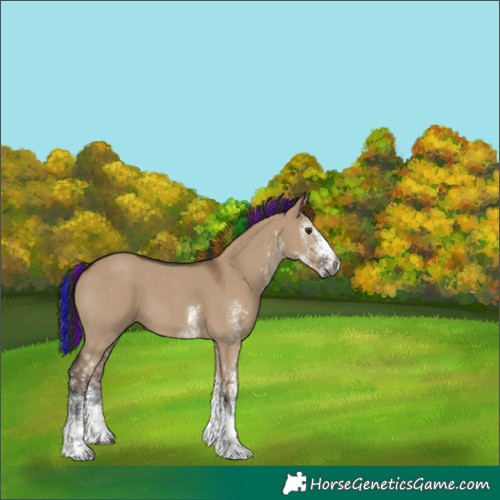Horse Color:Gray Painted White Spotted Liver Red Dun 