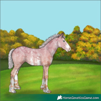 Horse Color:Silver Classic Champagne Sabino