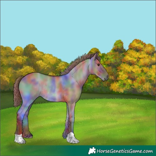 Horse Color:Nacre Red Dun Rabicano 