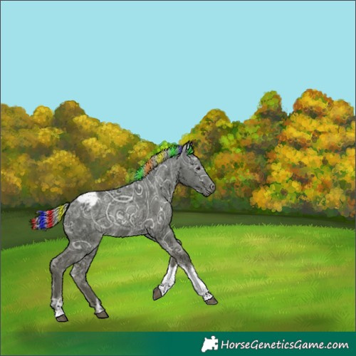 Horse Color:Gray Painted Silver Black Ice Tobiano Varnish Rabicano 