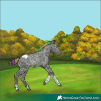 Horse Color:Gray Painted Silver Black Ice Tobiano Varnish Rabicano 