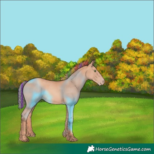 Horse Color:Painted Gold Champagne Rabicano 