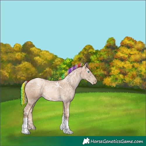 Horse Color:Gray Painted Gold Cream Champagne Ice Pearl Tobiano 