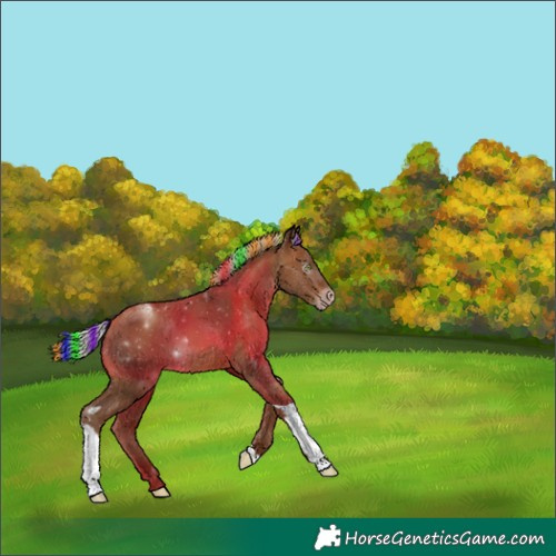 Horse Color:Gray Painted Silver Sable Champagne Tobiano Rabicano 