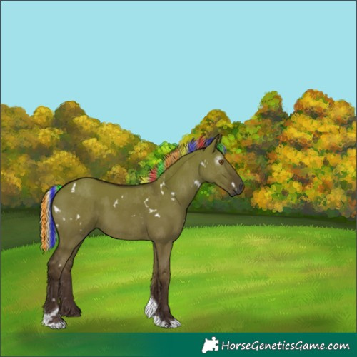 Horse Color:Gray Painted White Spotted Silver Grullo Tobiano Rabicano 