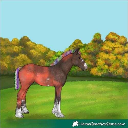 Horse Color:Painted White Spotted Silver Brown Tobiano 