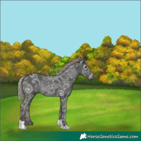 Horse Color:Gray Silver Black Ice Tobiano