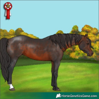 Horse Color:Brown 