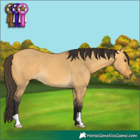 Horse Color:Buckskin Dun