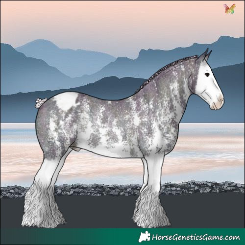 Horse Color:Watercolor Midnight Silver Blue Onyx Ice Sabino Splash Blanket Rabicano 