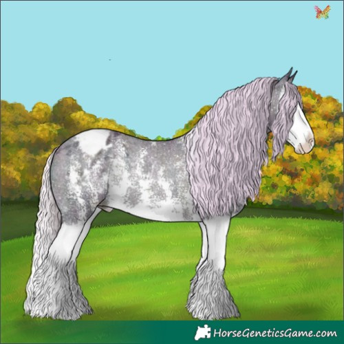 Horse Color:Watercolor Midnight Silver Blue Onyx Ice Sabino Splash Appaloosa Rabicano 