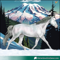 Horse Color:Watercolor White Spotted Gold Champagne Onyx Splash 