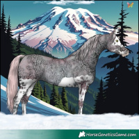 Horse Color:Watercolor Gold Champagne Ice Splash Rabicano 