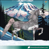 Horse Color:Watercolor Gold Champagne Ice Splash Rabicano