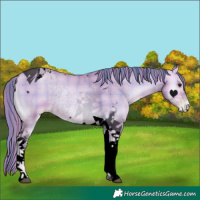 Horse Color:Void Watercolor Plaid  Bay Pearl Onyx Tobiano Rabicano 