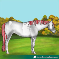 Horse Color:Painted Silver Blue Onyx Chinchilla Tobiano Rabicano 