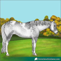 Horse Color:Silver Blue Onyx Chinchilla Ice Tobiano 