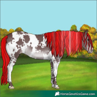 Horse Color:Painted White Spotted Chocolate Black Chinchilla Tobiano Varnish