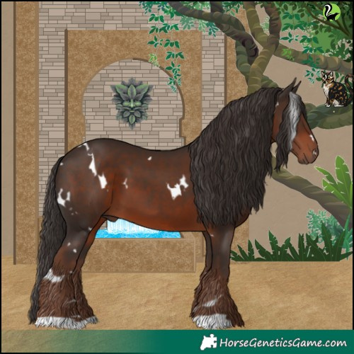 Horse Color:White Spotted Liver Chestnut 