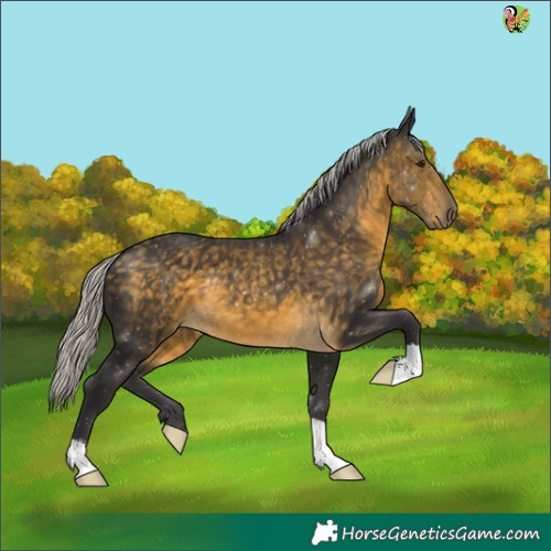 Horse Color:Silver Buckskin 