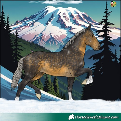 Horse Color:Silver Buckskin 