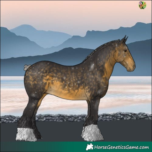 Horse Color:Silver Buckskin 