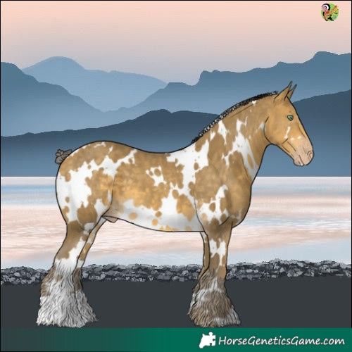 Horse Color:White Spotted Sable Cream Champagne 