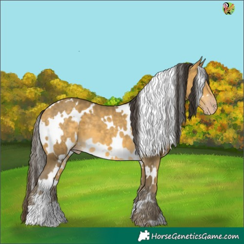 Horse Color:White Spotted Sable Cream Champagne 