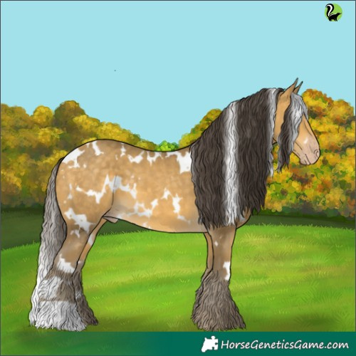 Horse Color:White Spotted Sable Cream Champagne 