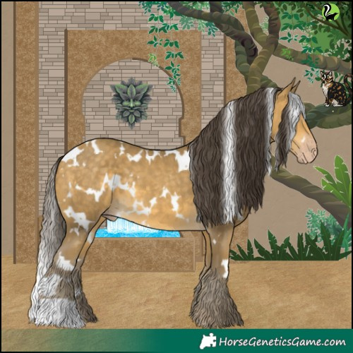 Horse Color:White Spotted Sable Cream Champagne 