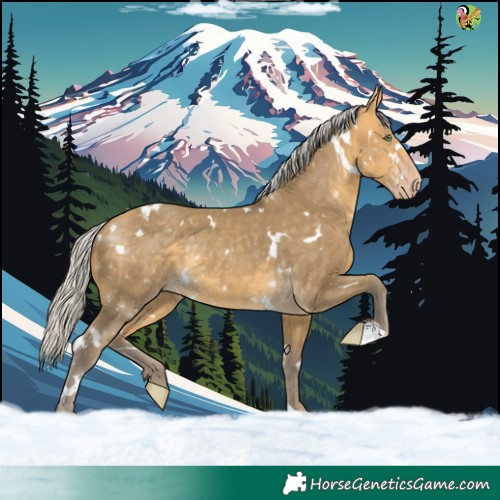 Horse Color:White Spotted Silver Sable Cream Champagne 